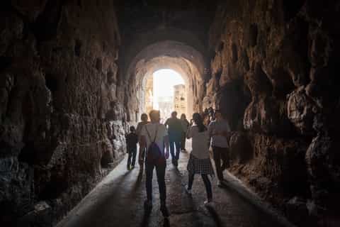 Roma: ingresso prioritario al Colosseo, Foro Romano, Palatin