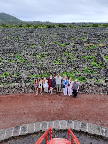 Visit Wine Tour and Tasting with a Winemake at Pico Island in Pico Island, Azores