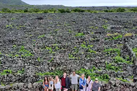 Wein Tour und Verkostung mit einem lokalen Winzer auf Pico Island