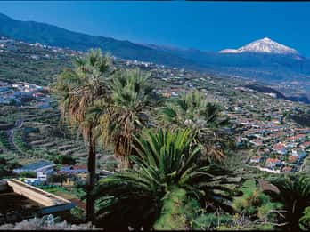 Ab Gran Canaria: Tagestour nach Teneriffa Ab Gran Canaria: Tagestour nach Teneriffa
