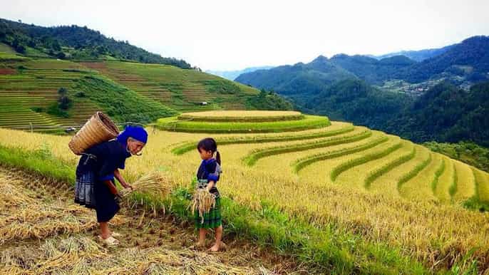 from sa pa 5hour muong hoa valley trek and ethnic tribes