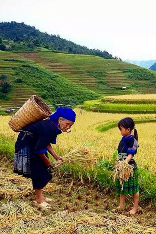 Sa Pa: Trekking Lembah Muong Hoa Jam dengan Panduan Etnis Lokal