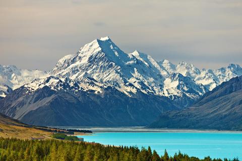 Vanuit Queenstown: Halve dag tour met gids naar Mount Cook