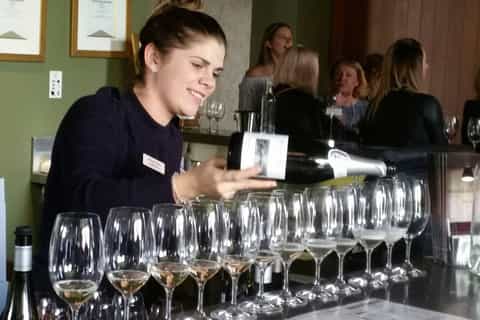 Swan Valley: Full-Day Wine Tour with Lunch