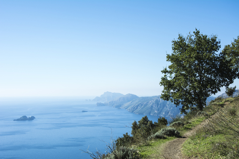 From Sorrento: Path of the Gods Hike