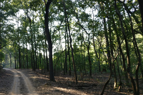 From Delhi: 2-Day Jim Corbett Wildlife Safari Tour by Car From Delhi: 2-Day Jim Corbett Wildlife Safari Tour by Car