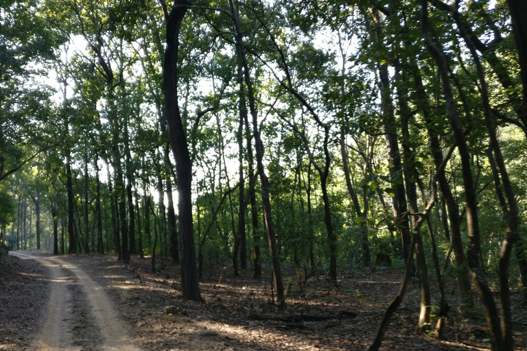 From Delhi: 2-Day Jim Corbett Wildlife Safari Tour by Car From Delhi: 2-Day Jim Corbett Wildlife Safari Tour by Car