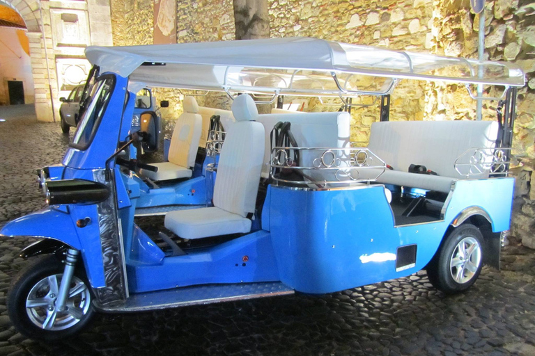 Lisbon: Private Guided Electric Tuk Tuk Tour with Tastings