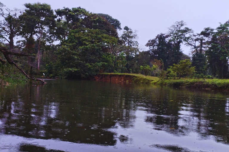 Private Kayaking Adventure: a 2-hour Wildlife Escape Self-Guided Kayaking Adventure: a 2-hour Wildlife Escape