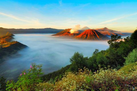 Mount Bromo, Ijen, and Blue Flames: 3-Day Tour from Surabaya
