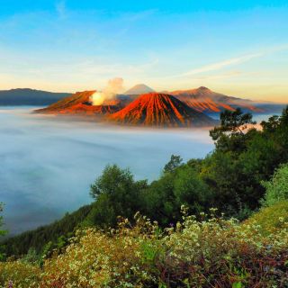 Mount Bromo, Ijen, and Blue Flames: 3-Day Tour from Surabaya
