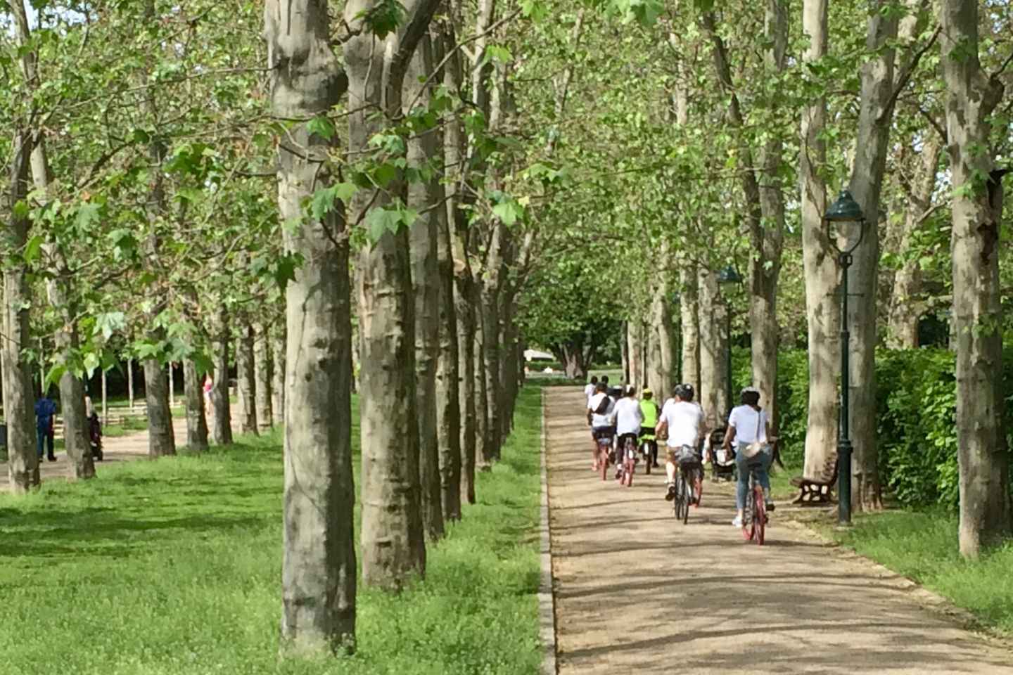 Reiðhjólaferð í Prag - Allt í Einu