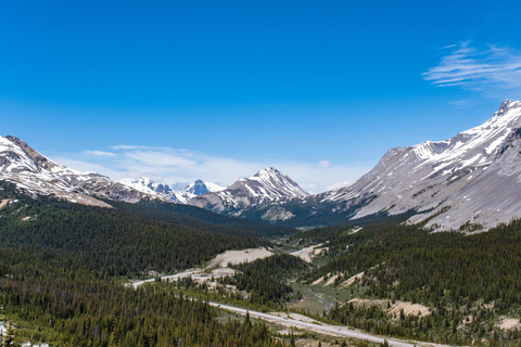 Campo de Hielo :Glaciar Crowfoot, Lago Bow-Peyto y Cañón Marble