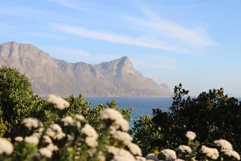 From Cape Town: Winelands and Whale Coast 2-Day Tour