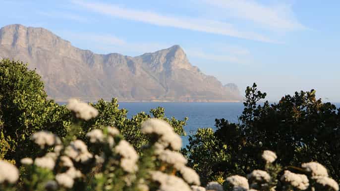 from cape town winelands and whale coast 2day tour