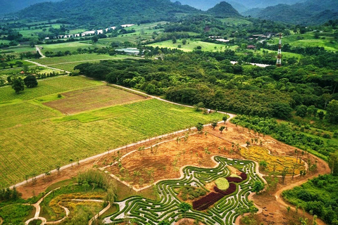 Khao Yai Vineyard Tasting Tour & Horse Farm Visit