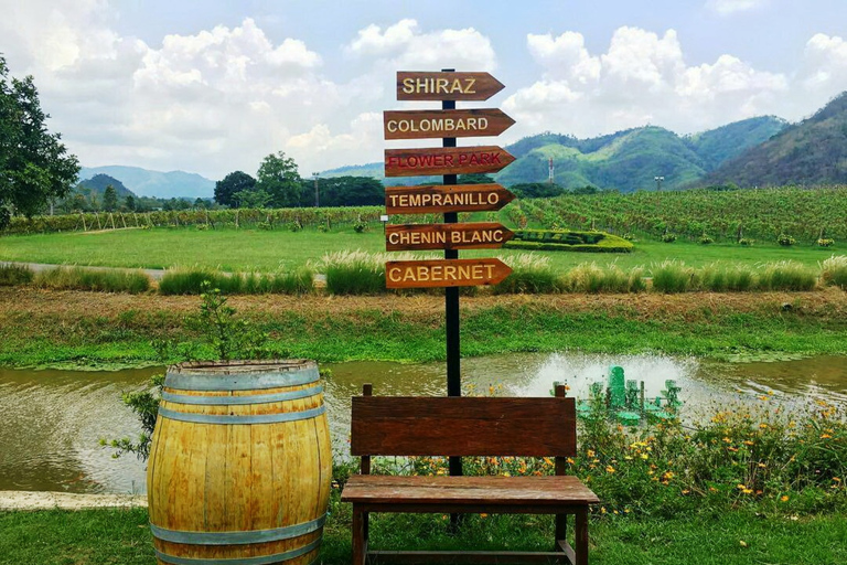 Khao Yai Vineyard Tasting Tour & Horse Farm Visit