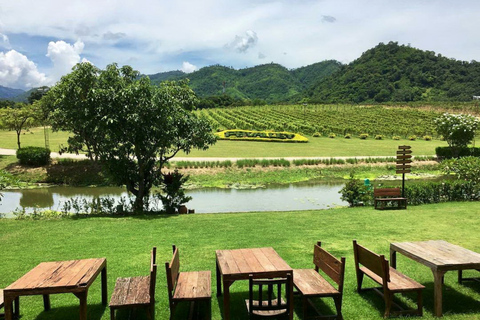 Khao Yai Vineyard Tasting Tour & Horse Farm Visit