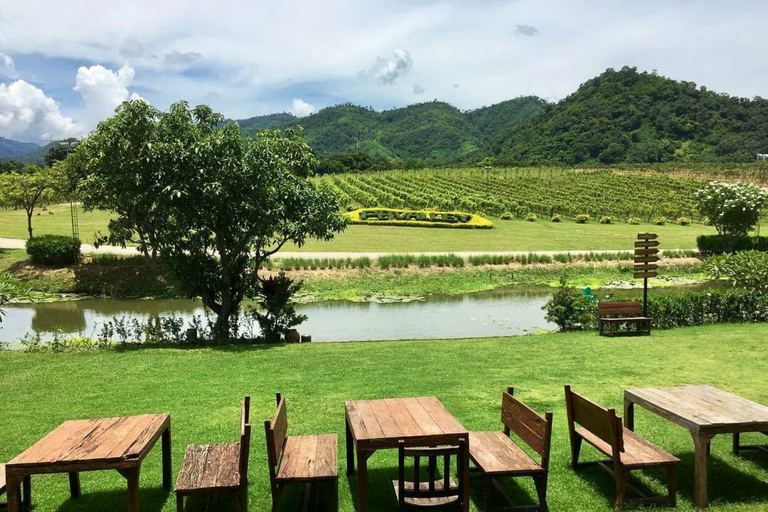 Khao Yai Vineyard Tasting Tour & Horse Farm Visit Private Khao Yai Vineyard Tasting Tour & Horse Farm Visit