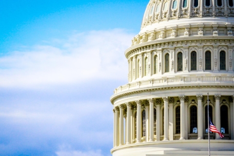 Washington DC: Capitol Hill - Visita guiada a pieTour a pie semiprivado del Capitolio en inglés