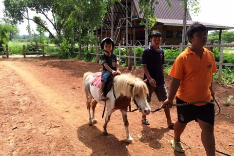 Khao Yai Vineyard Tasting Tour & Horse Farm Visit Private Khao Yai Vineyard Tasting Tour & Horse Farm Visit
