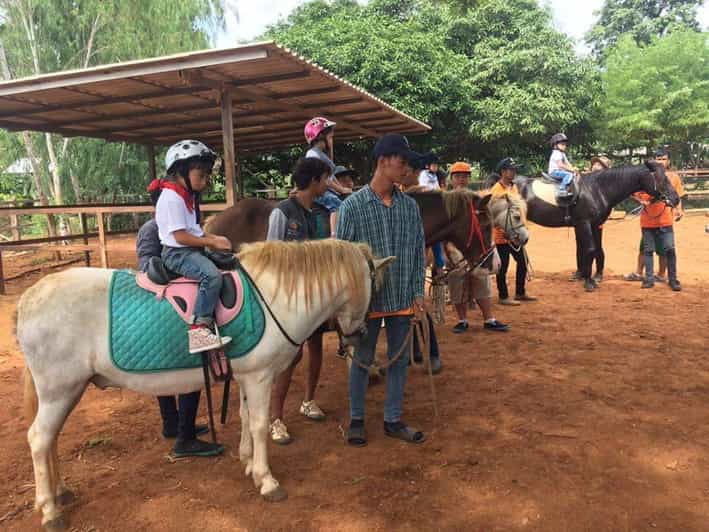 Khao Yai Vineyard Tasting Tour & Horse Farm Visit GetYourGuide