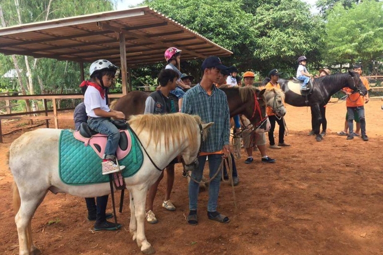 Khao Yai Vineyard Tasting Tour & Horse Farm Visit Private Khao Yai Vineyard Tasting Tour & Horse Farm Visit