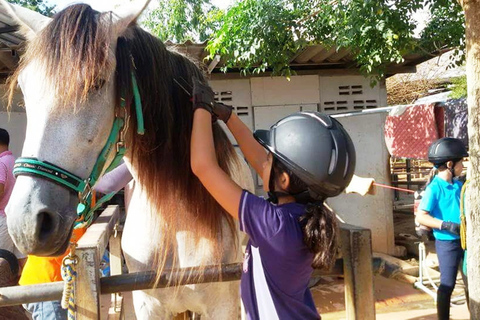 Khao Yai Vineyard Tasting Tour & Horse Farm VisitPrywatna degustacja winnic Khao Yai i wizyta w stadninie koni