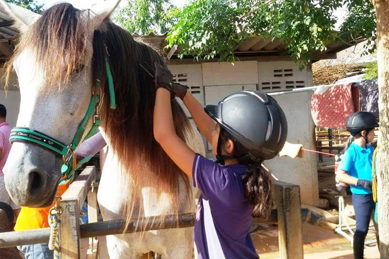 Khao Yai Vineyard Tasting Tour & Horse Farm Visit