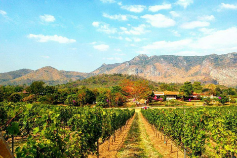 Khao Yai Vineyard Tasting Tour & Horse Farm Visit