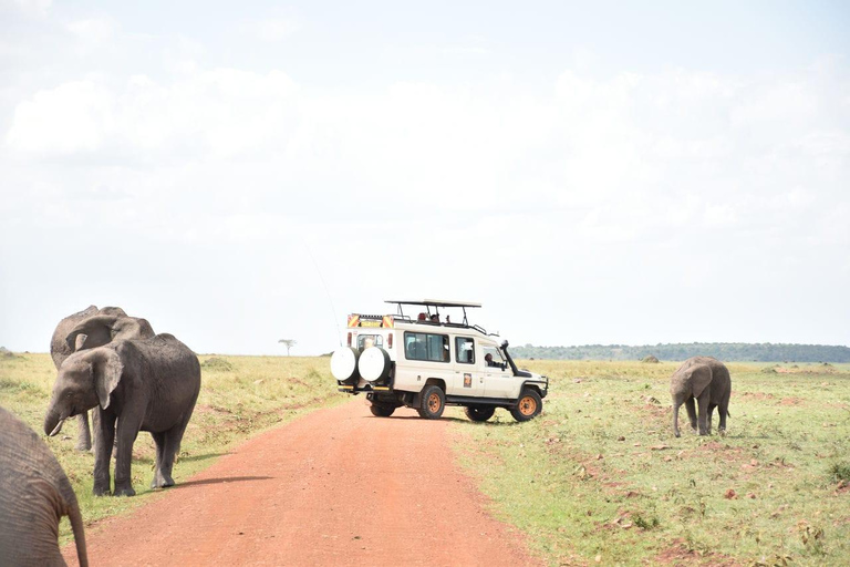 Tsavo Amboseli & Tsavo Expedition Safari Tour