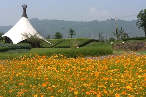 Khao Yai Vineyard Tasting Tour &amp; Horse Farm VisitPrivate Khao Yai Vineyard Tasting Tour &amp; Horse Farm Visit