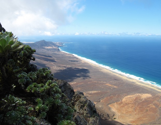 Visit Fuerteventura Pico de la Zarza Tour in Antigua