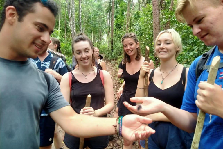 Chiang Mai: 2-Days Jungle Trek, Waterfalls and Karen Village