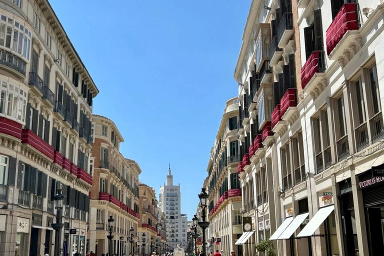 Málaga: Old Town Walking Tour with Local Guide Málaga: Centro Histórico con guías locales