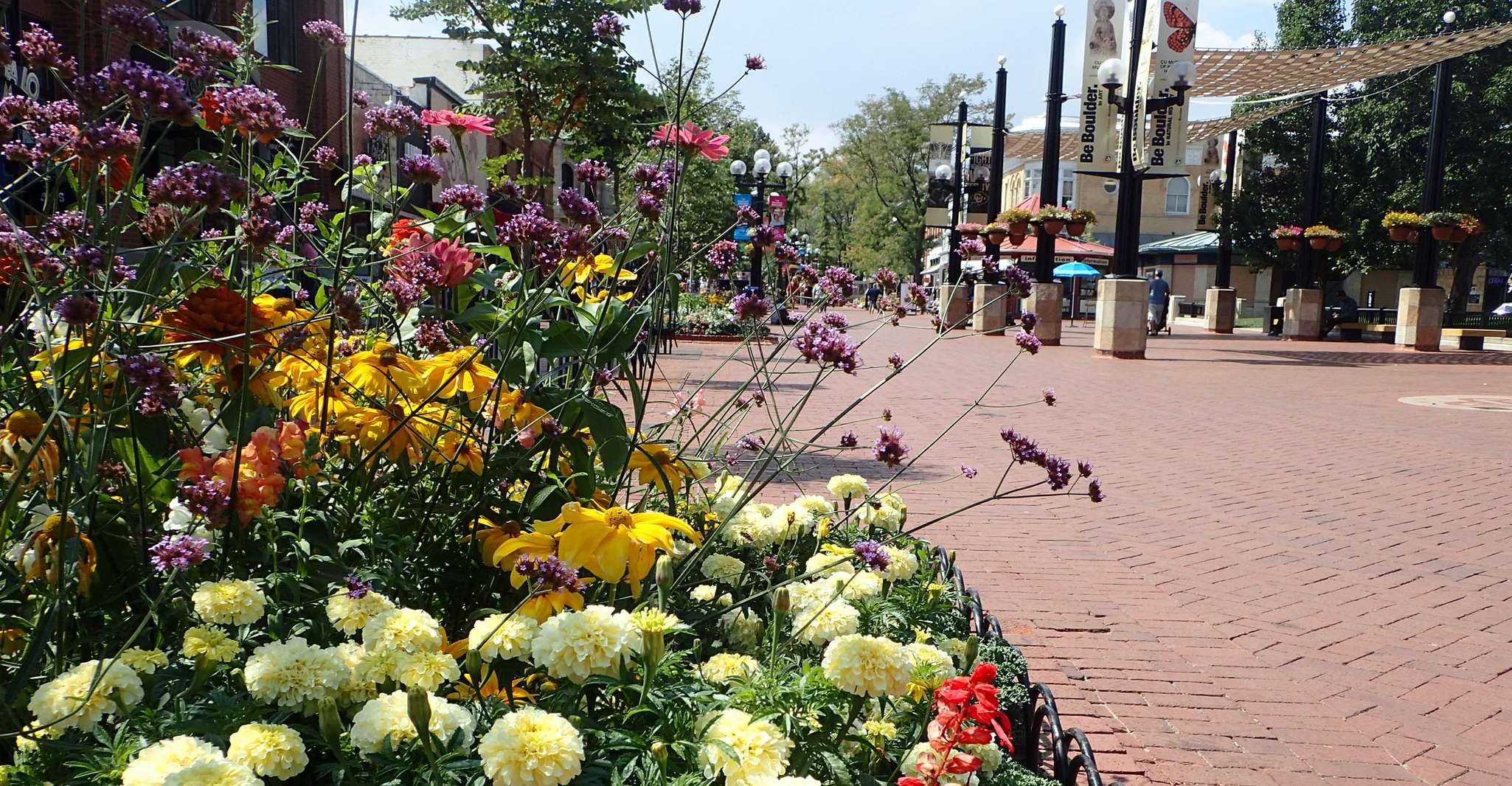 Amazing Boulder Scavenger Hunt Adventure - Housity