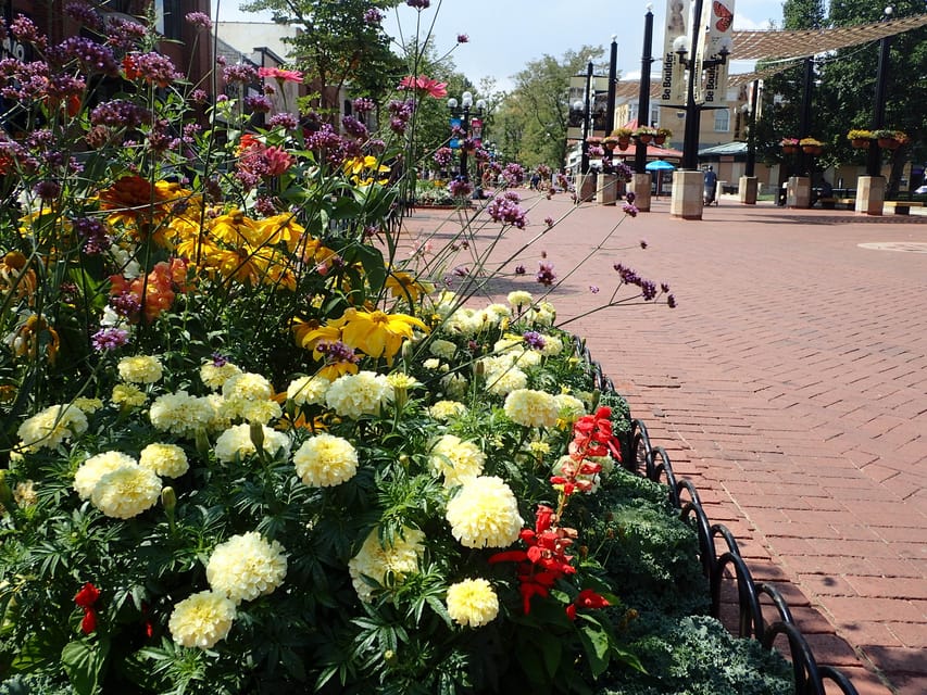 Amazing Boulder Scavenger Hunt Adventure Getyourguide