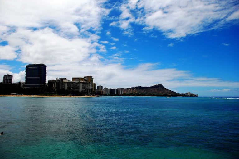 Oahu: Miljövänlig valskådningstur i Waikiki på eftermiddagenWaikiki: Miljövänlig eftermiddagsvalsafari