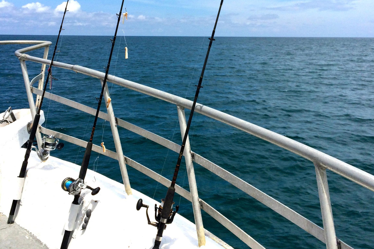 Excursion de pêche 4 heures