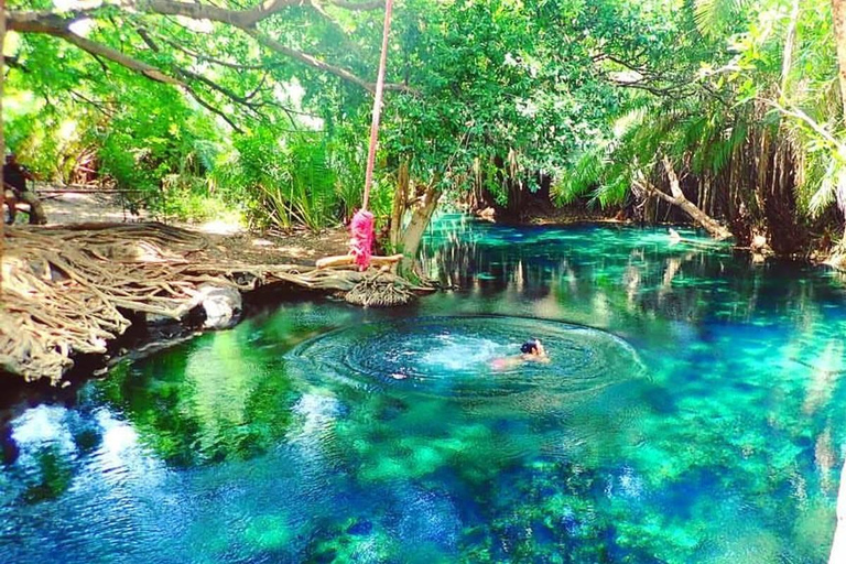 Excursion d'une journée aux chutes d'eau, au café et aux sources d'eau chaude de Materuni