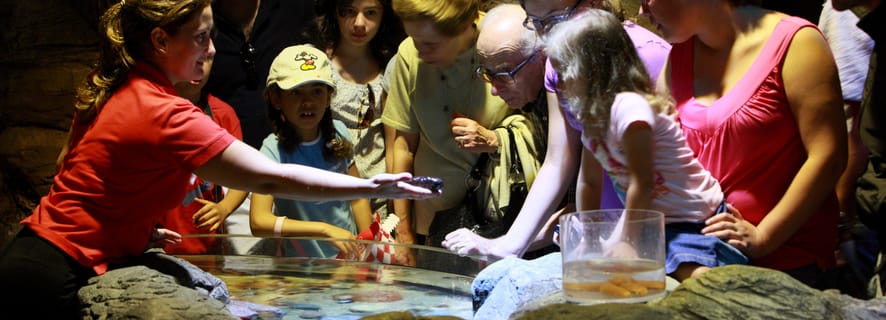 SEA LIFE Porto: Bilhete de Entrada de 1 Dia
