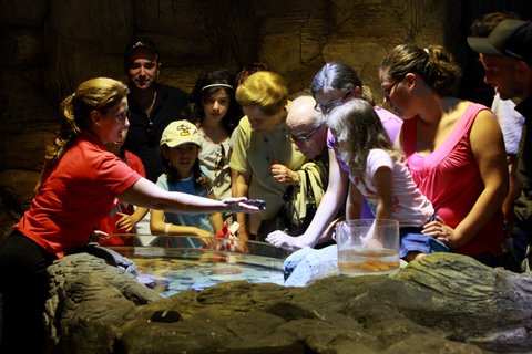 Dagkaart voor SEA LIFE Porto