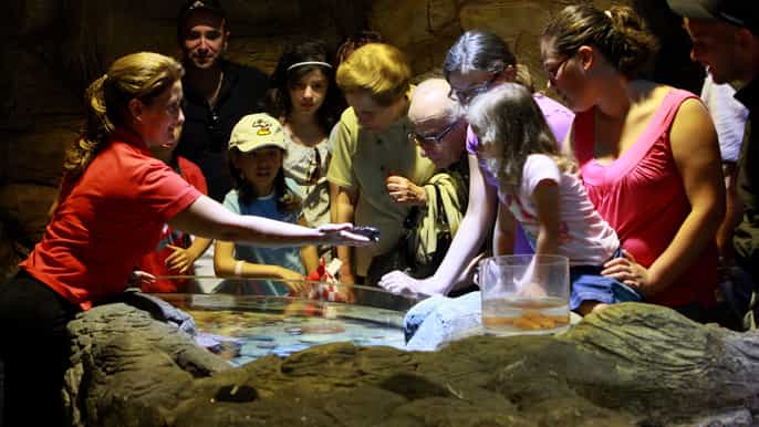 sea life porto bilhete de entrada de 1 dia