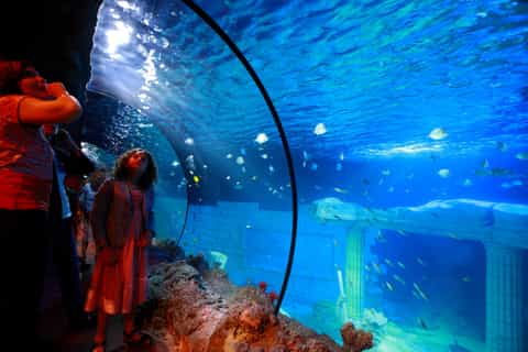 SEA LIFE Porto : billet un jour