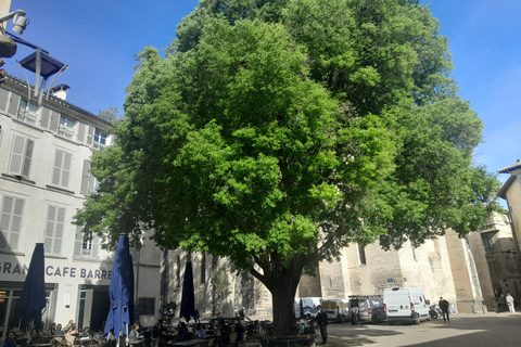Avignon: walking tour of the most see-sights and hidden gems