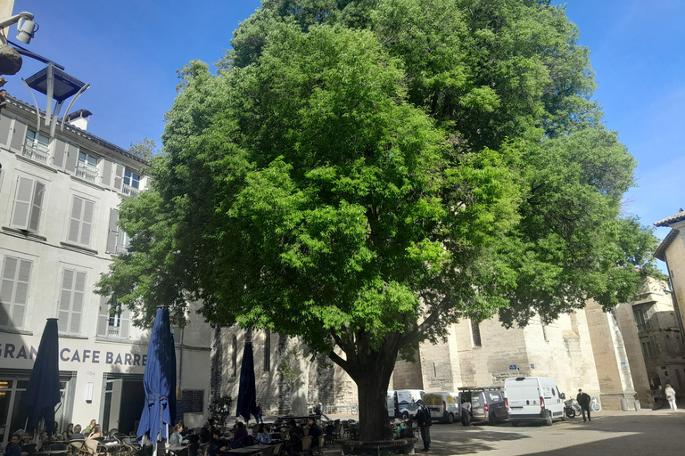 Avignon: walking tour of the most see-sights and hidden gems