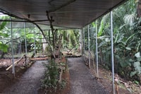 Hormigas Town Ant Expérience - Housity