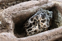 Hormigas Town Ant Experience - Housity