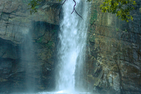 Sri Lanka: 9-Day Honeymoon Tour with Accommodation