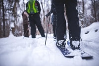 Jacques-Cartier National Park, Skiing Excursion - Hizvo